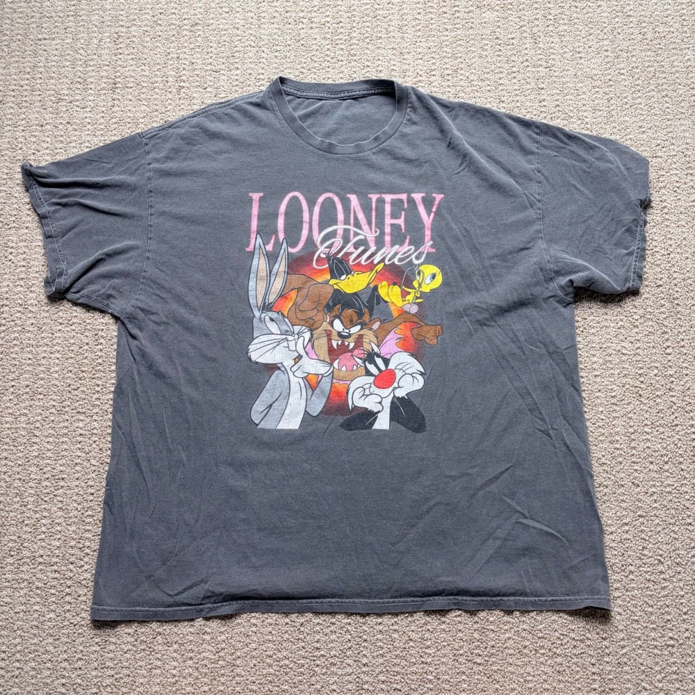 Looney Tunes Mens Large Faded Gray Graphic T-Shirt Bugs Bunny Daffy Duck Taz Tee